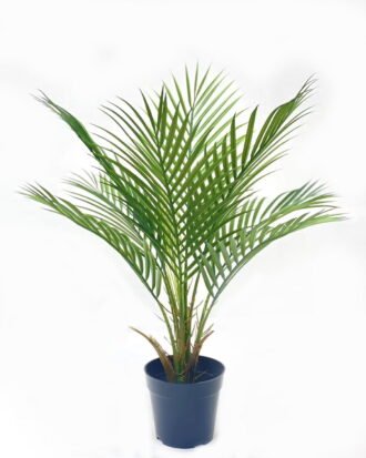 Artificial Tree 65*65*60cm Kwai tree in PP pot/8 lvs GS-59523124 Tree&Plant YeahFlower is one of Chinese leading OEM manufacturers and exporters , supplying the silk flowers, wholesale artificial trees