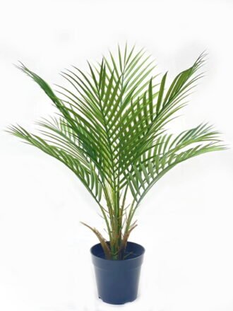 Artificial Tree 80*80*116cm Kwai tree in PP pot/12 lvs GS-59523123 Tree&Plant 3,000+ sqm showroom with thousands of artificial flowers, plants & trees ready for global sourcing.