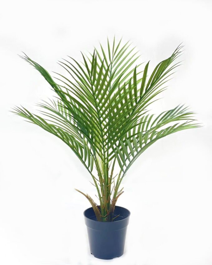 Artificial Tree 65*65*60cm Kwai tree in PP pot/8 lvs GS-59523124 Tree&Plant YeahFlower is one of Chinese leading OEM manufacturers and exporters , supplying the silk flowers, wholesale artificial trees