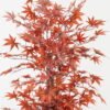 Artificial Tree 81*81*150cm Maple leaf *3 in PP pot/312 lvs GS-30423091 Tree&Plant YeahFlower is one of Chinese leading OEM manufacturers and exporters , supplying the silk flowers, wholesale artificial trees