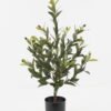 Artificial Tree 34*34*68cm Olive Tree in PP pot/216 lvs GS-30423094 Tree&Plant YeahFlower is one of Chinese leading OEM manufacturers and exporters , supplying the silk flowers, wholesale artificial trees