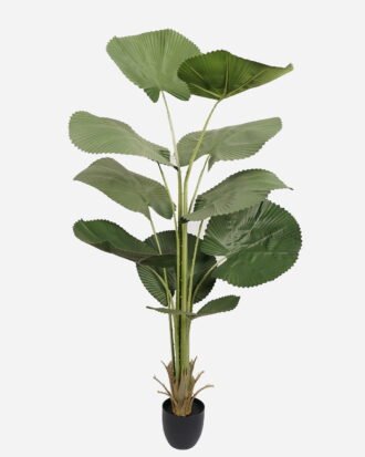 Artificial Tree 95*68*168cm Palmetto in PP pot/10 lvs GS-48523015 Tree&Plant YeahFlower is one of Chinese leading OEM manufacturers and exporters , supplying the silk flowers, wholesale artificial trees