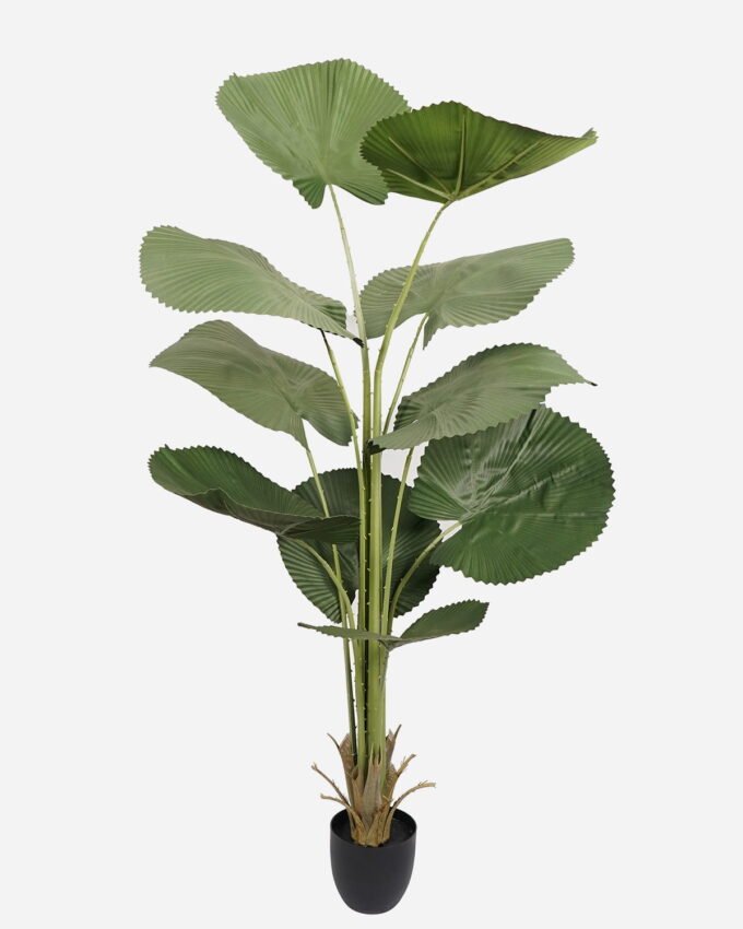 Artificial Tree 95*68*168cm Palmetto in PP pot/10 lvs GS-48523015 Tree&Plant YeahFlower is one of Chinese leading OEM manufacturers and exporters , supplying the silk flowers, wholesale artificial trees