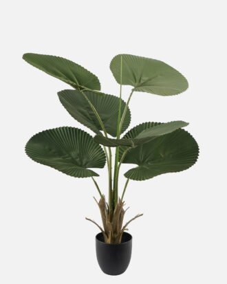 Artificial Tree 63*63*102cm Palmetto in PP pot/6 lvs GS-48523013 Tree&Plant YeahFlower is one of Chinese leading OEM manufacturers and exporters , supplying the silk flowers, wholesale artificial trees