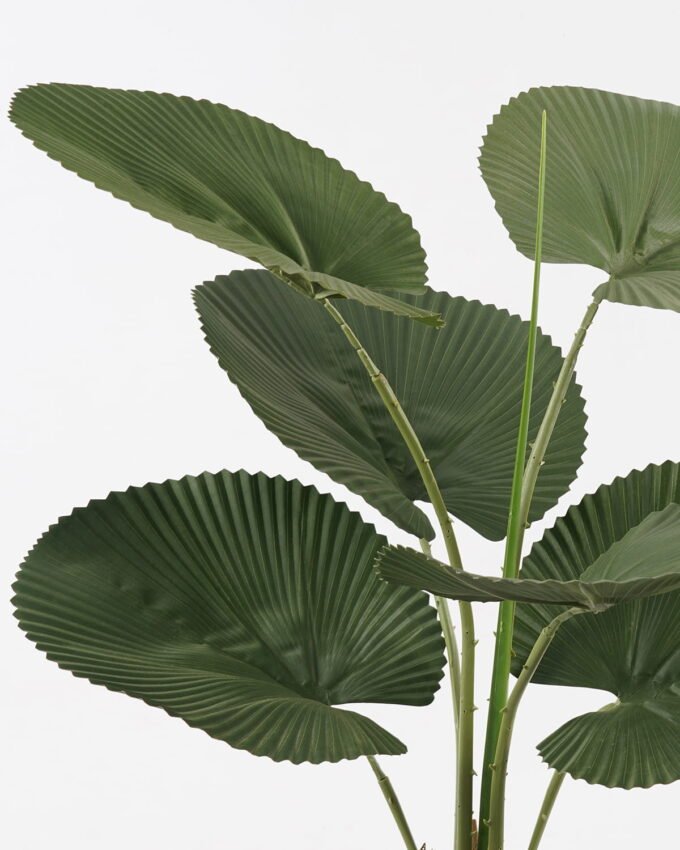 Artificial Tree 63*63*102cm Palmetto in PP pot/6 lvs GS-48523013 Tree&Plant YeahFlower is one of Chinese leading OEM manufacturers and exporters , supplying the silk flowers, wholesale artificial trees