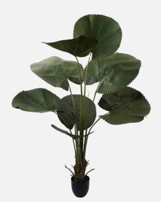 Artificial Tree 80*80*148cm Palmetto in PP pot/8 lvs GS-48523014 Tree&Plant YeahFlower is one of Chinese leading OEM manufacturers and exporters , supplying the silk flowers, wholesale artificial trees