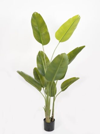 Artificial Tree 65*65*156cm Sterlitzia *3 in PP pot/9 lvs GS-48523018KD Tree&Plant 3,000+ sqm showroom with thousands of artificial flowers, plants & trees ready for global sourcing.