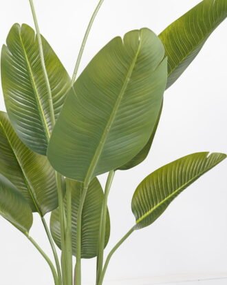 Artificial Tree 65*65*180cm Sterlitzia *3 in PP pot/10 lvs GS-48523019KD Tree&Plant YeahFlower is one of Chinese leading OEM manufacturers and exporters , supplying the silk flowers, wholesale artificial trees