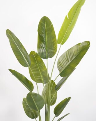 Artificial Tree 70*65*220cm Sterlitzia *3 in PP pot/12 lvs GS-48523020KD Tree&Plant YeahFlower is one of Chinese leading OEM manufacturers and exporters , supplying the silk flowers, wholesale artificial trees