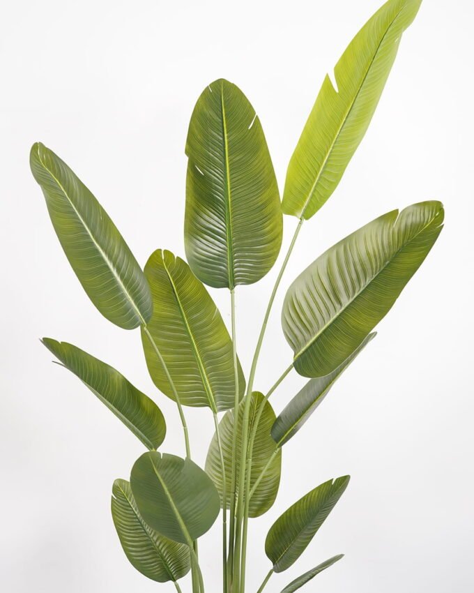 Artificial Tree 70*65*220cm Sterlitzia *3 in PP pot/12 lvs GS-48523020KD Tree&Plant YeahFlower is one of Chinese leading OEM manufacturers and exporters , supplying the silk flowers, wholesale artificial trees