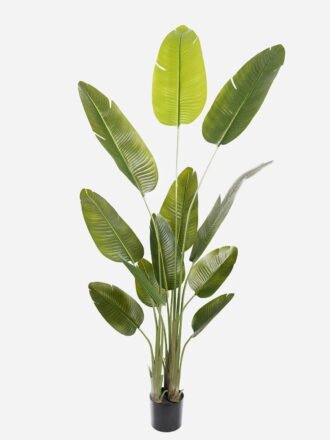 Artificial Plant 48*48*63cm Oak leaf in PP pot GS-69423035-G2 2024Jan YeahFlower is one of Chinese leading OEM manufacturers and exporters , supplying the silk flowers, wholesale artificial trees