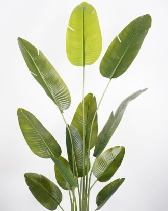 Artificial Tree 80*70*240cm Sterlitzia *3 in PP pot/12 lvs GS-48523021KD Tree&Plant YeahFlower is one of Chinese leading OEM manufacturers and exporters , supplying the silk flowers, wholesale artificial trees