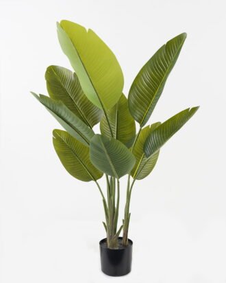 Artificial Tree 50*50*116cm Sterlitzia *3 in PP pot/9 lvs GS-48523017KD Tree&Plant YeahFlower is one of Chinese leading OEM manufacturers and exporters , supplying the silk flowers, wholesale artificial trees