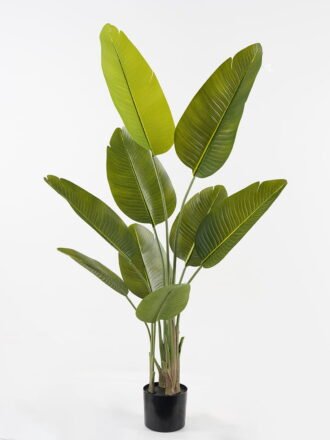 Artificial Tree 50*50*116cm Sterlitzia *3 in PP pot/9 lvs GS-48523017KD Tree&Plant 3,000+ sqm showroom with thousands of artificial flowers, plants & trees ready for global sourcing.