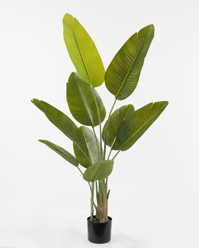 Artificial Tree 65*65*156cm Sterlitzia *3 in PP pot/9 lvs GS-48523018KD Tree&Plant YeahFlower is one of Chinese leading OEM manufacturers and exporters , supplying the silk flowers, wholesale artificial trees