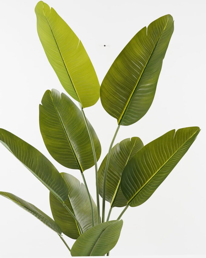 Artificial Tree 65*65*156cm Sterlitzia *3 in PP pot/9 lvs GS-48523018KD Tree&Plant YeahFlower is one of Chinese leading OEM manufacturers and exporters , supplying the silk flowers, wholesale artificial trees