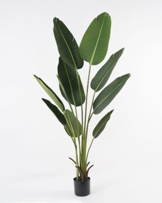 Artificial Tree 60*60*153cm Sterlitzia in PP pot/10 lvs GS-29823028 Tree&Plant YeahFlower is one of Chinese leading OEM manufacturers and exporters , supplying the silk flowers, wholesale artificial trees