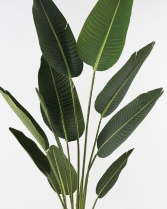 Artificial Tree 60*60*153cm Sterlitzia in PP pot/10 lvs GS-29823028 Tree&Plant YeahFlower is one of Chinese leading OEM manufacturers and exporters , supplying the silk flowers, wholesale artificial trees