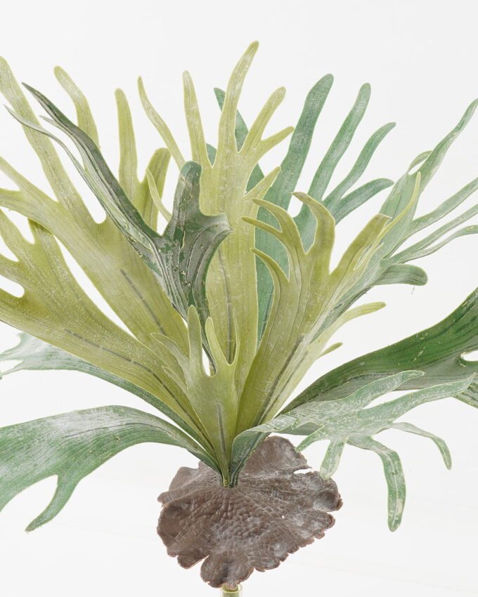 Artificial succulent 50*50*58cm Platycerium wallichii bush GS-71523006 Succulent YeahFlower is one of Chinese leading OEM manufacturers and exporters , supplying the silk flowers, wholesale artificial trees