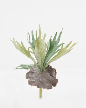 Artificial succulent 30*30*34cm Platycerium wallichii bush GS-71523008 Succulent YeahFlower is one of Chinese leading OEM manufacturers and exporters , supplying the silk flowers, wholesale artificial trees