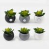 Artificial succulent Succulent potted leaf GS-51723028-1JJA_3 Artificial succulent 7*7*7cm Succulent potted leaf GS-51723028-1JJA Succulent YeahFlower is one of Chinese leading OEM manufacturers and exporters , supplying the silk flowers, wholesale artificial trees