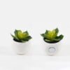 Artificial succulent Succulent potted leaf GS-51723028-1JJA_4 Artificial succulent 7*7*7cm Succulent potted leaf GS-51723028-1JJA Succulent YeahFlower is one of Chinese leading OEM manufacturers and exporters , supplying the silk flowers, wholesale artificial trees