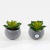 Artificial succulent Succulent potted leaf GS-51723028-1JJA_5 Artificial succulent 7*7*7cm Succulent potted leaf GS-51723028-1JJA Succulent YeahFlower is one of Chinese leading OEM manufacturers and exporters , supplying the silk flowers, wholesale artificial trees