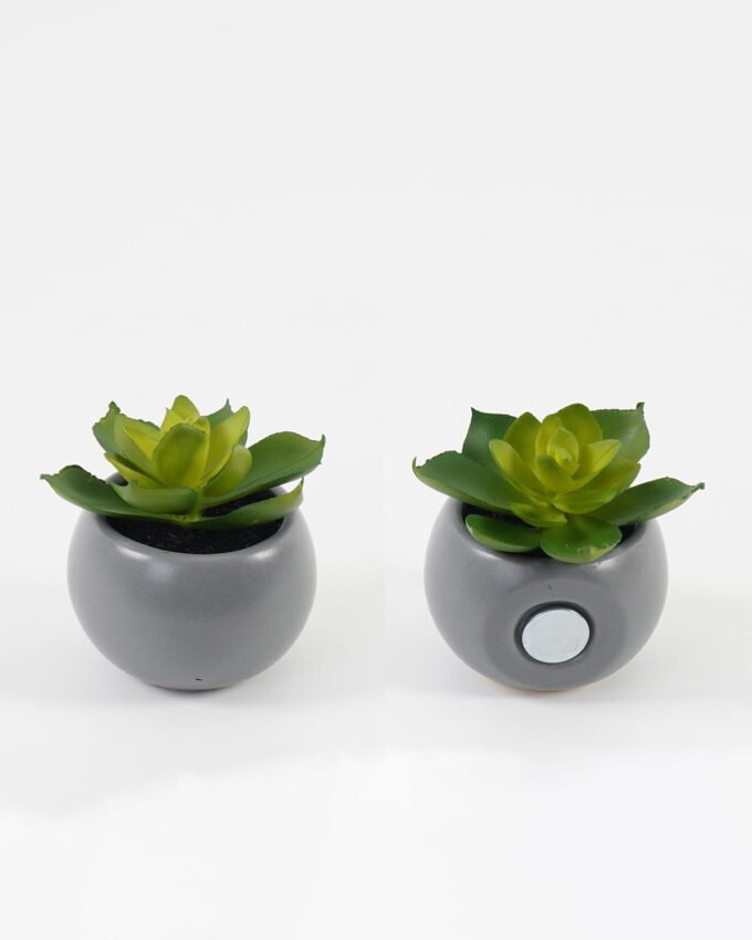 Artificial succulent Succulent potted leaf GS-51723028-1JJA_5 Artificial succulent 7*7*7cm Succulent potted leaf GS-51723028-1JJA Succulent YeahFlower is one of Chinese leading OEM manufacturers and exporters , supplying the silk flowers, wholesale artificial trees