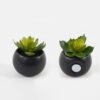 Artificial succulent Succulent potted leaf GS-51723028-1JJA_6 Artificial succulent 7*7*7cm Succulent potted leaf GS-51723028-1JJA Succulent YeahFlower is one of Chinese leading OEM manufacturers and exporters , supplying the silk flowers, wholesale artificial trees