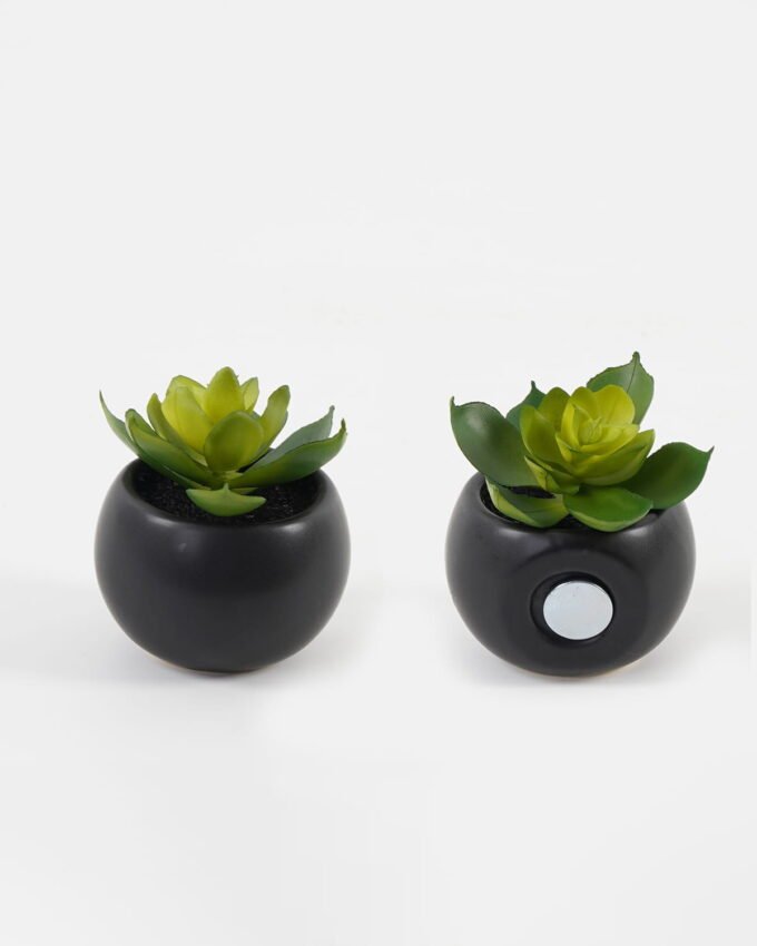 Artificial succulent Succulent potted leaf GS-51723028-1JJA_6 Artificial succulent 7*7*7cm Succulent potted leaf GS-51723028-1JJA Succulent YeahFlower is one of Chinese leading OEM manufacturers and exporters , supplying the silk flowers, wholesale artificial trees