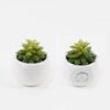 Artificial succulent 6*6*7cm Succulent potted leaf GS-51723028-2JJA Succulent YeahFlower is one of Chinese leading OEM manufacturers and exporters , supplying the silk flowers, wholesale artificial trees