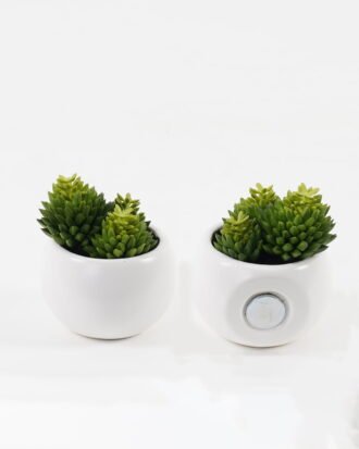 Artificial succulent 6*6*7cm Succulent potted leaf GS-51723028-3JJA Succulent YeahFlower is one of Chinese leading OEM manufacturers and exporters , supplying the silk flowers, wholesale artificial trees