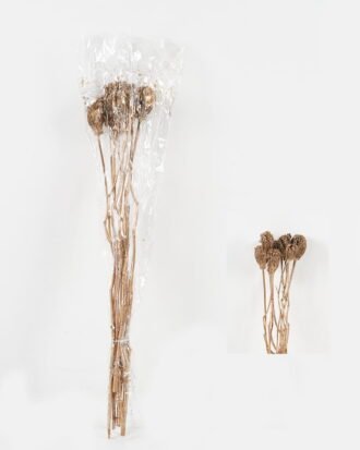 Dried Flowers 18*74cm Dried flower arrangement  bouquet*10 GS-56622011-J1 Bouquet YeahFlower is one of Chinese leading OEM manufacturers and exporters , supplying the silk flowers, wholesale artificial trees