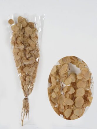 Dried Flowers 23*50cm Dried natural items bouquet with PP wrapped GS-56623144 Bouquet 3,000+ sqm showroom with thousands of artificial flowers, plants & trees ready for global sourcing.