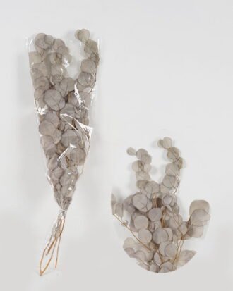 Dried Flowers 22*75cm Eucalyptus nature plants bundle GS-56623146 Bouquet YeahFlower is one of Chinese leading OEM manufacturers and exporters , supplying the silk flowers, wholesale artificial trees