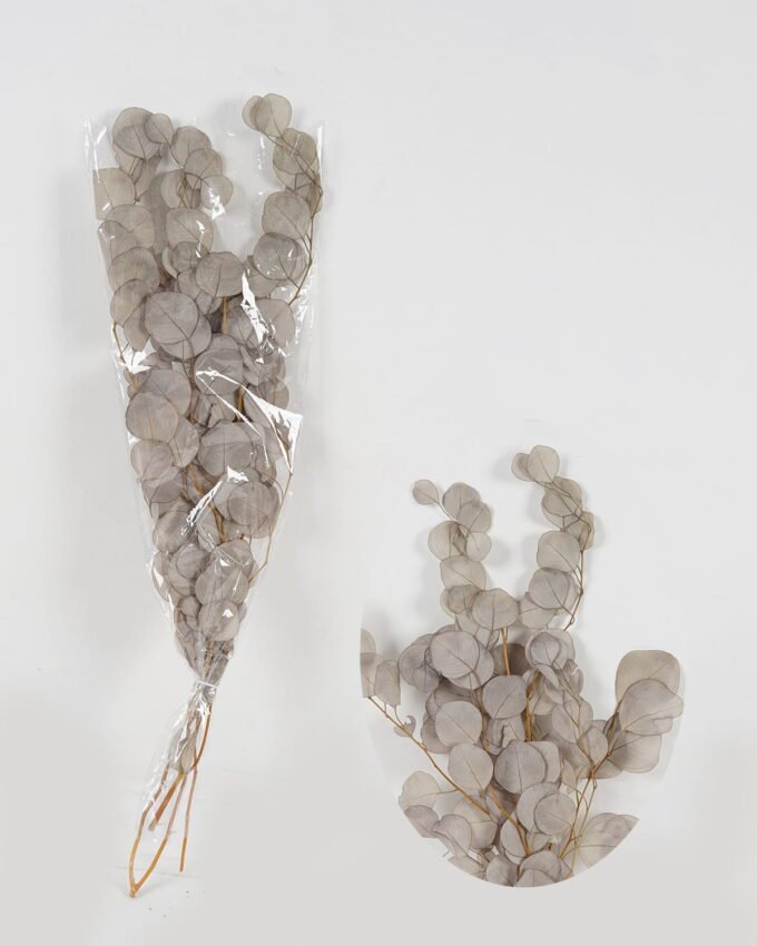 Dried Flowers 22*75cm Eucalyptus nature plants bundle GS-56623146 Bouquet YeahFlower is one of Chinese leading OEM manufacturers and exporters , supplying the silk flowers, wholesale artificial trees