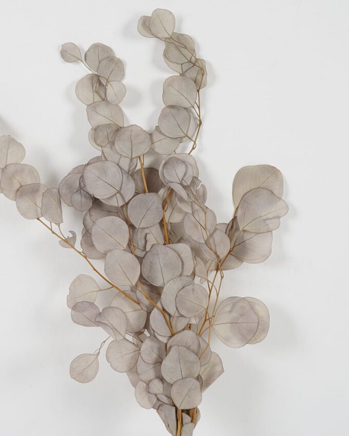 Dried Flowers 22*75cm Eucalyptus nature plants bundle GS-56623146 Bouquet YeahFlower is one of Chinese leading OEM manufacturers and exporters , supplying the silk flowers, wholesale artificial trees