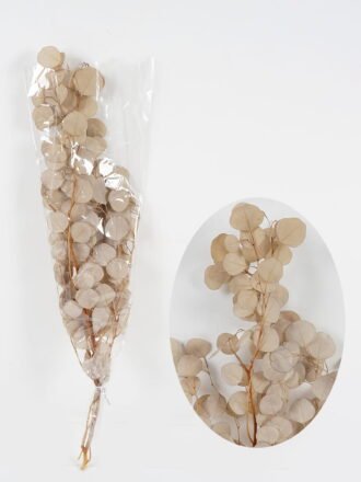 Dried Flowers 35*50cm Fan *3 nature plants bundle GS-56623148 Bouquet 3,000+ sqm showroom with thousands of artificial flowers, plants & trees ready for global sourcing.
