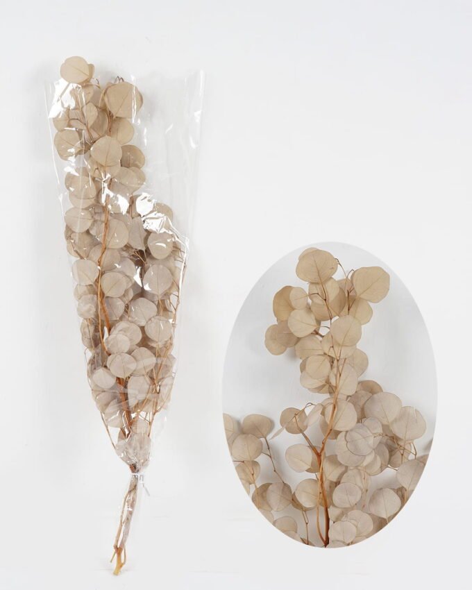 Dried Flowers 17*75cm Eucalyptus nature plants bundle GS-56623147 Bouquet YeahFlower is one of Chinese leading OEM manufacturers and exporters , supplying the silk flowers, wholesale artificial trees