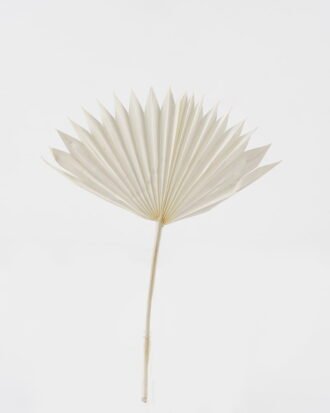 Dried Flowers 35*50cm Fan *3 nature plants bundle GS-56623148 Bouquet YeahFlower is one of Chinese leading OEM manufacturers and exporters , supplying the silk flowers, wholesale artificial trees