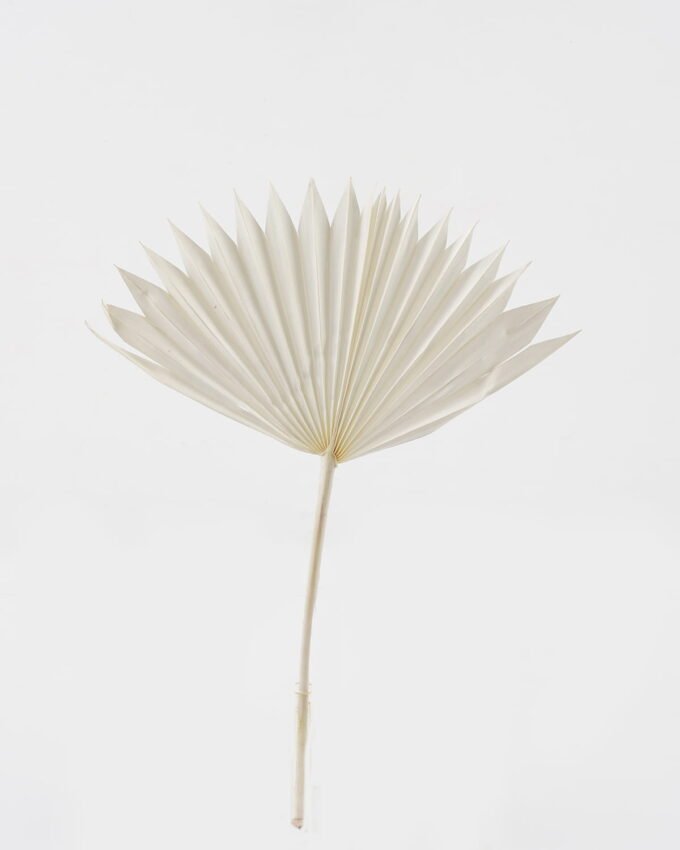 Dried Flowers 35*50cm Fan *3 nature plants bundle GS-56623148 Bouquet YeahFlower is one of Chinese leading OEM manufacturers and exporters , supplying the silk flowers, wholesale artificial trees