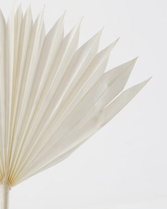 Dried Flowers 35*50cm Fan *3 nature plants bundle GS-56623148 Bouquet YeahFlower is one of Chinese leading OEM manufacturers and exporters , supplying the silk flowers, wholesale artificial trees