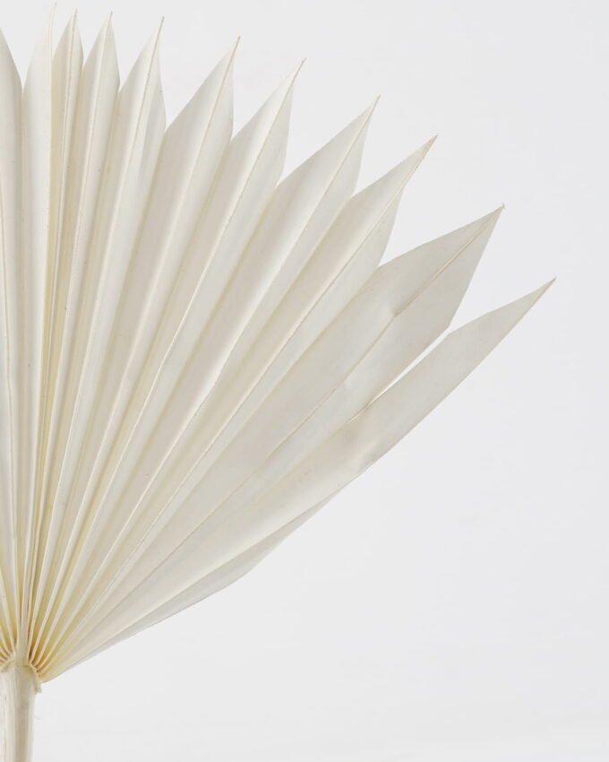 Dried Flowers 35*50cm Fan *3 nature plants bundle GS-56623148 Bouquet YeahFlower is one of Chinese leading OEM manufacturers and exporters , supplying the silk flowers, wholesale artificial trees