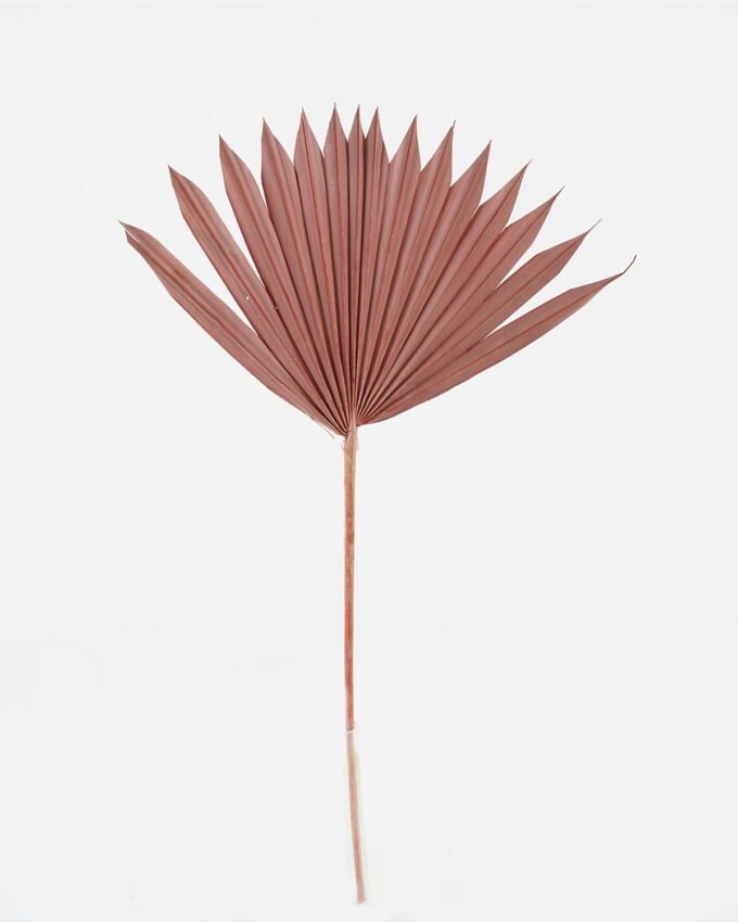 Dried Flowers 35*50cm Fan *3 nature plants bundle GS-56623148 Bouquet YeahFlower is one of Chinese leading OEM manufacturers and exporters , supplying the silk flowers, wholesale artificial trees