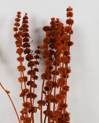 Dried Flowers 12*80cm leonurus nature plants bundle GS-56619013-O1 Bouquet YeahFlower is one of Chinese leading OEM manufacturers and exporters , supplying the silk flowers, wholesale artificial trees