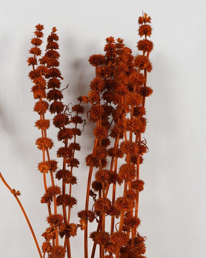 Dried Flowers 12*80cm leonurus nature plants bundle GS-56619013-O1 Bouquet YeahFlower is one of Chinese leading OEM manufacturers and exporters , supplying the silk flowers, wholesale artificial trees