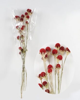 Dried Flowers 18*76cm nature plants *20 bundle GS-56623151 Bouquet YeahFlower is one of Chinese leading OEM manufacturers and exporters , supplying the silk flowers, wholesale artificial trees