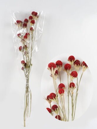 Dried Flowers 35*50cm Fan *3 nature plants bundle GS-56623148 Bouquet 3,000+ sqm showroom with thousands of artificial flowers, plants & trees ready for global sourcing.