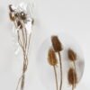 Dried Flowers nature plants 6 bundle GS-56623155_1 Dried Flowers 18*70cm nature plants *6 bundle GS-56623155 Bouquet YeahFlower is one of Chinese leading OEM manufacturers and exporters , supplying the silk flowers, wholesale artificial trees