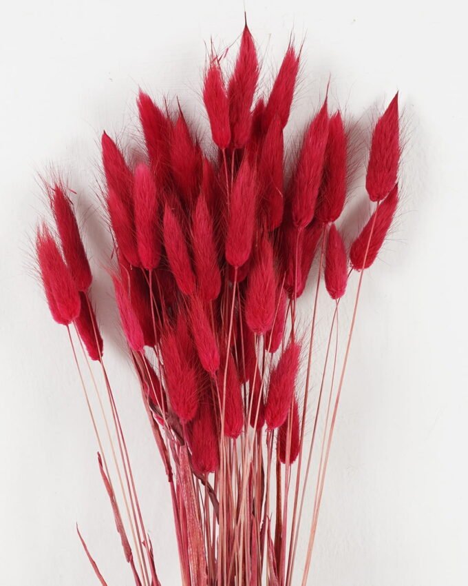 Dried Flowers 11*78cm nature plants bundle GS-56619010SET-R1 Bouquet YeahFlower is one of Chinese leading OEM manufacturers and exporters , supplying the silk flowers, wholesale artificial trees